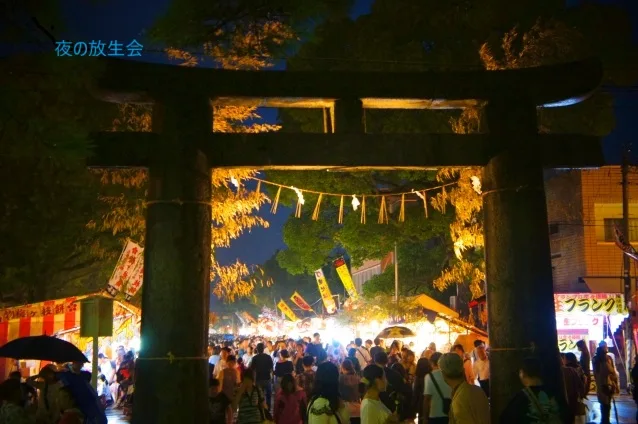 夜の放生会