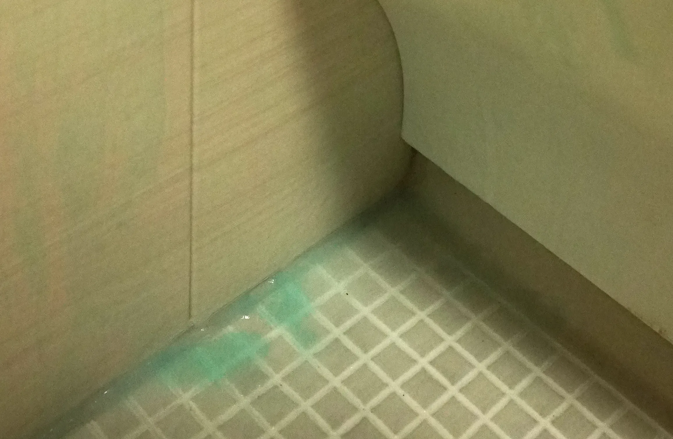 アズマジックカビスプレー