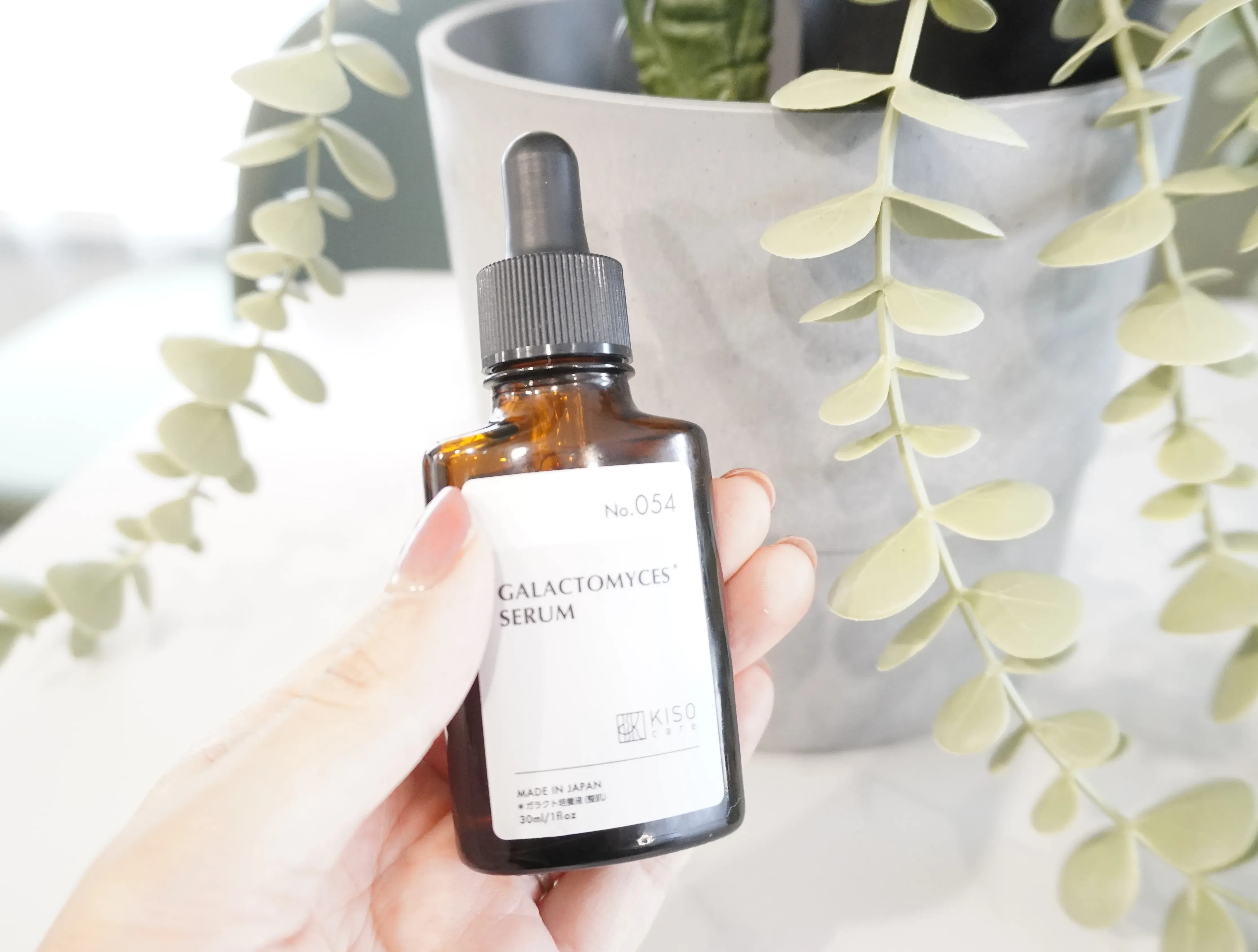 KISO ガラクトミセスセラム