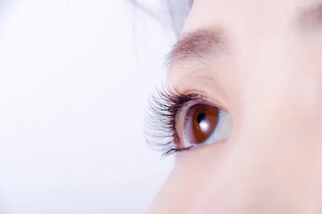 まつ毛のアップ