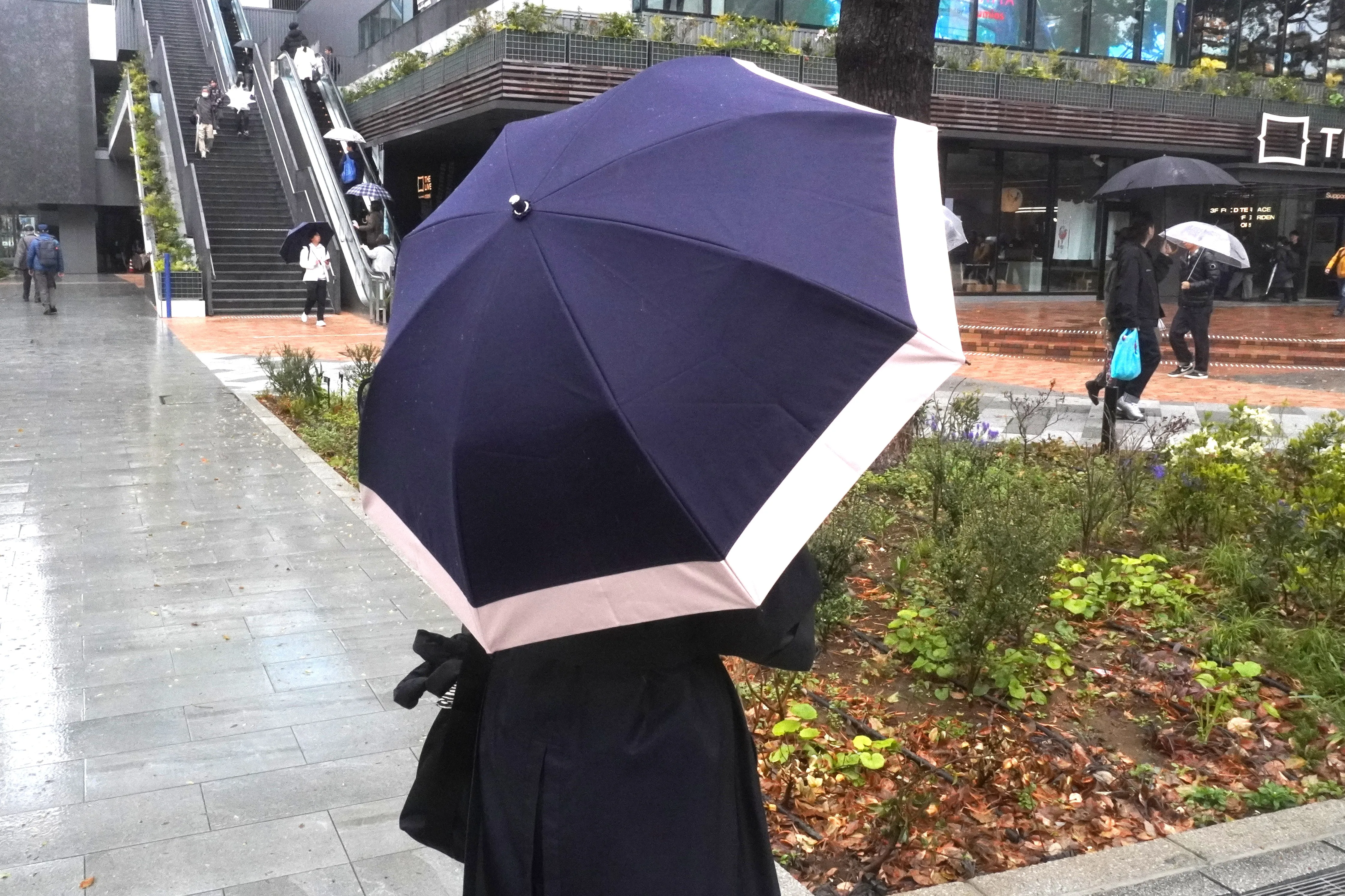 芦屋ロサブランネイビー&ピンク